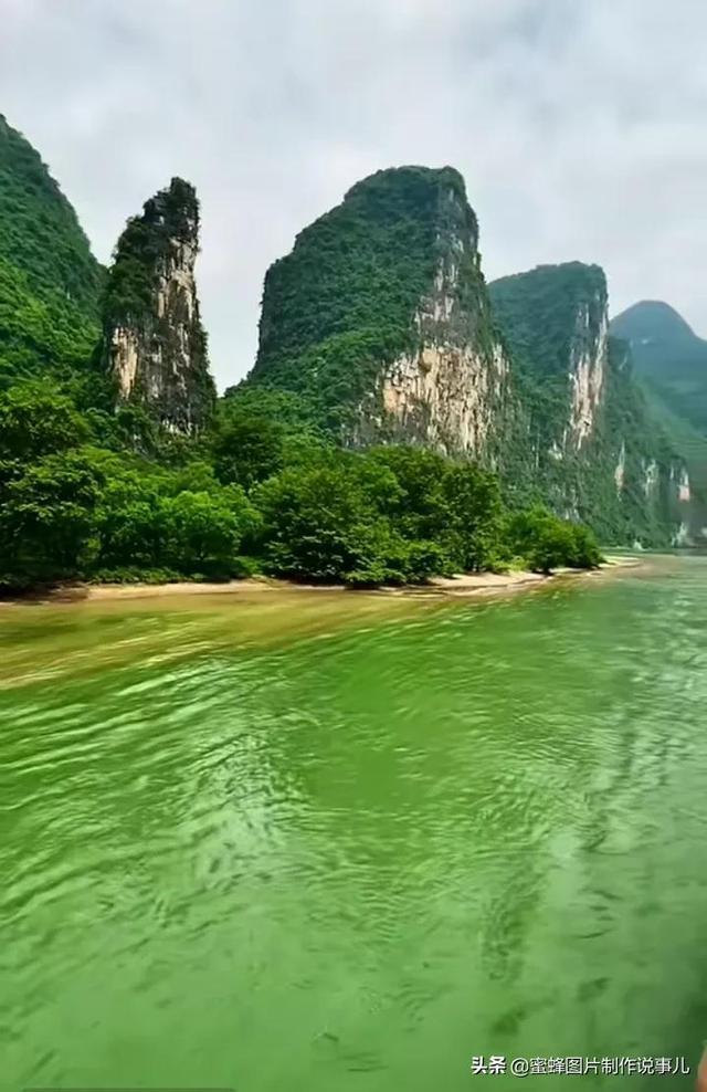 探索知识的新世界——太傻了,太傻了,你们这种不行啊,吱吱?蜗牛问答平台