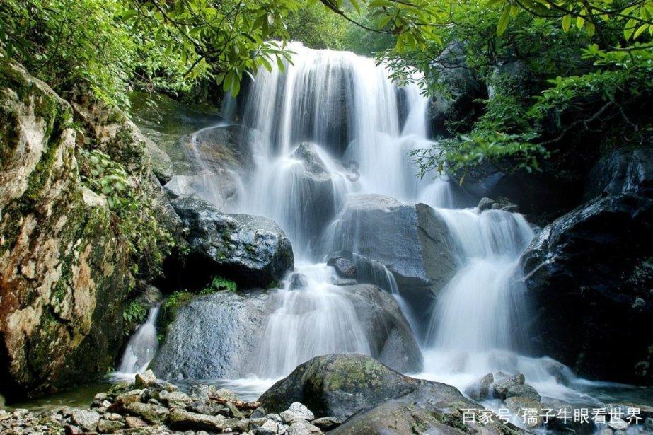 除鬼师